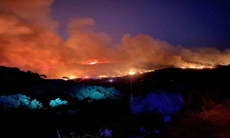 The highest temperatures in California’s history were recorded … and 600 hectares of forest were consumed by fire The highest temperatures in California’s history were recorded … and 600 hectares of forest were consumed by fire
